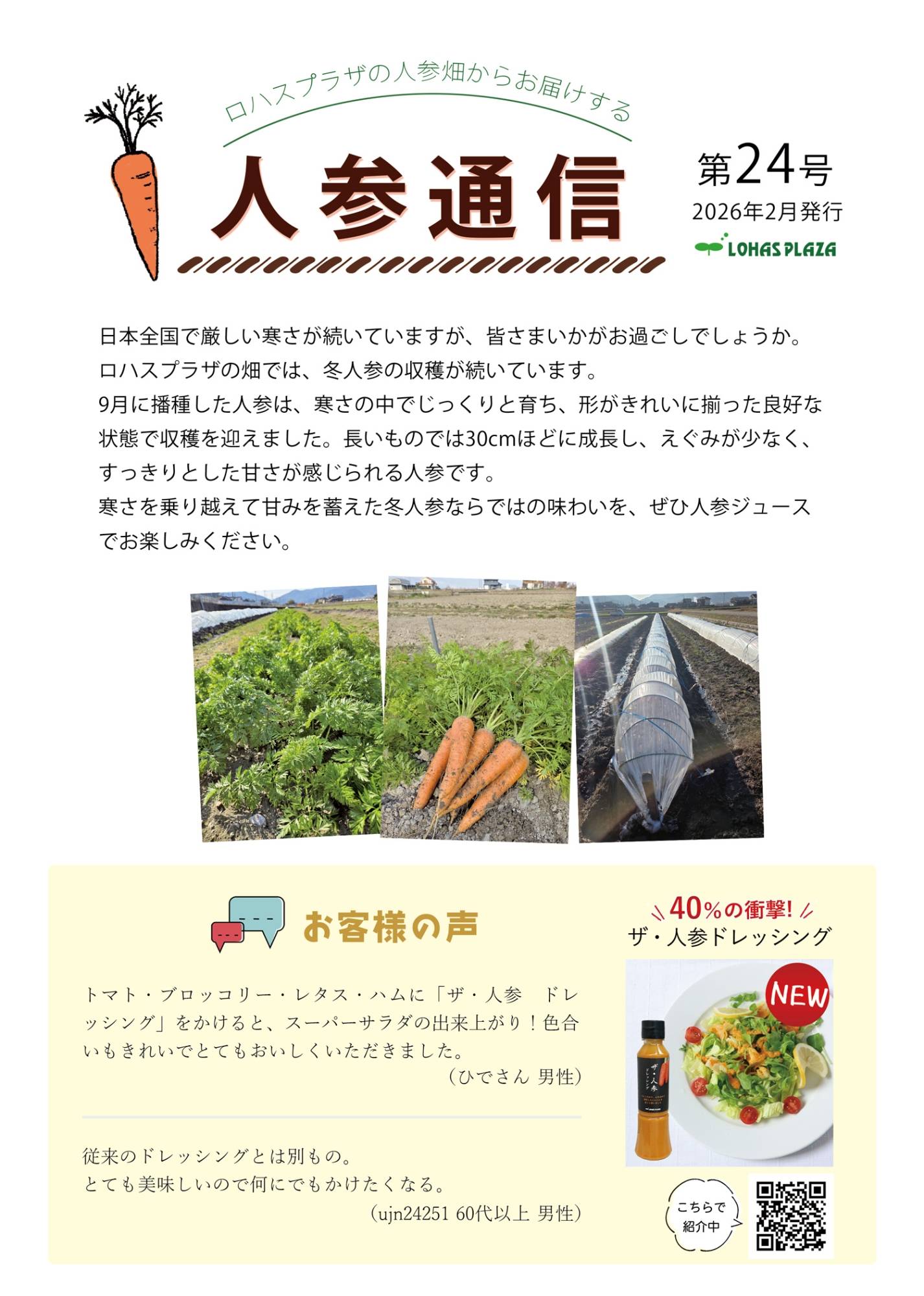 人参通信24号