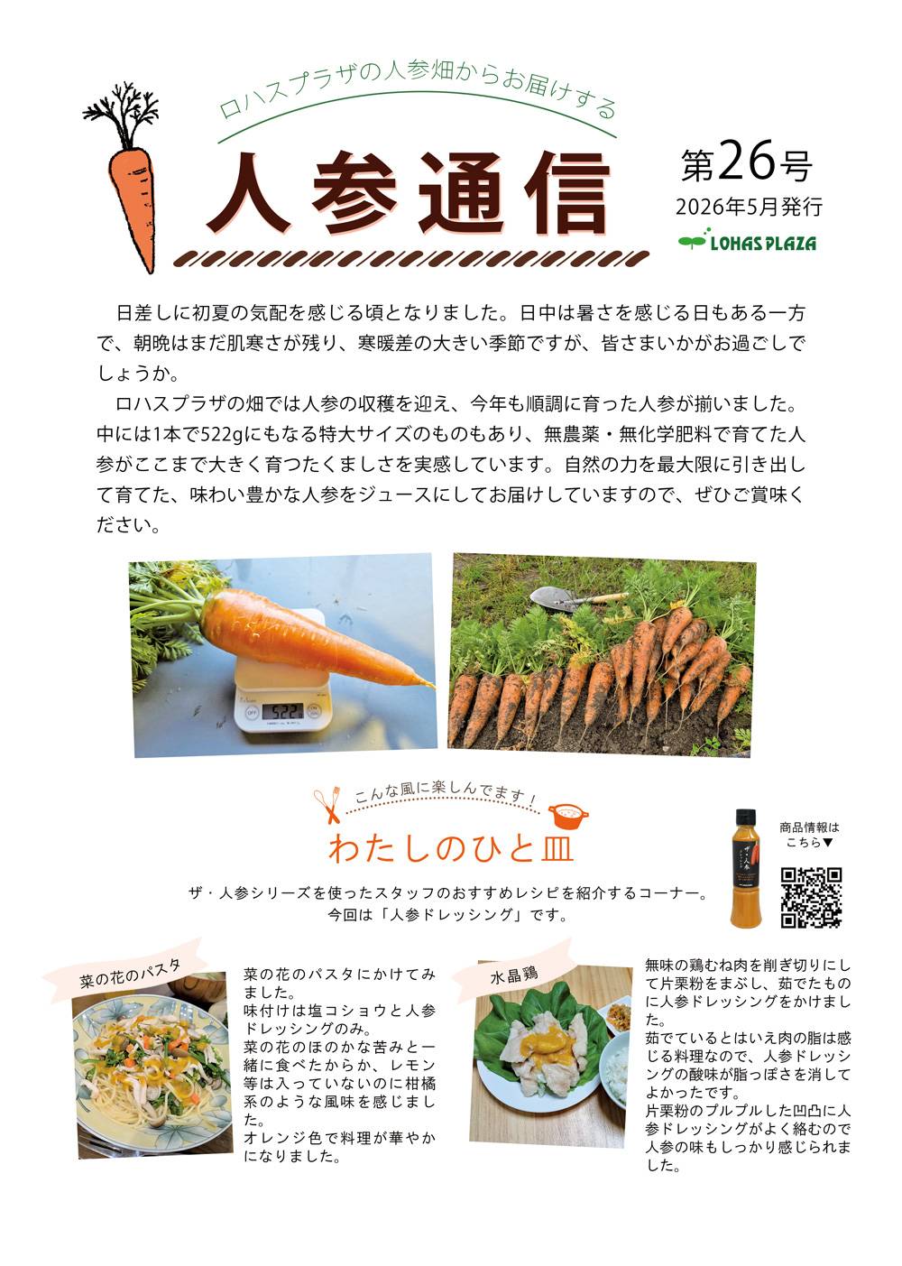 人参通信26号