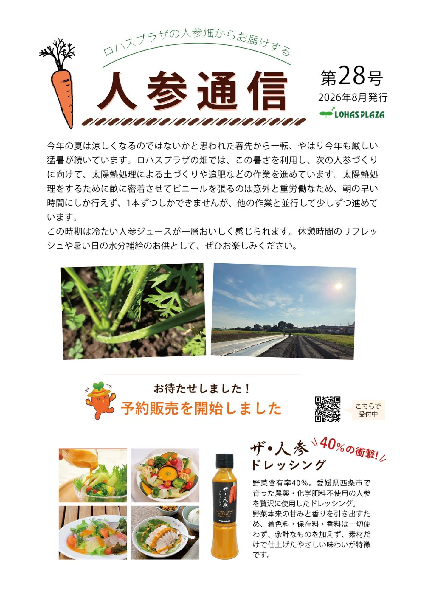 人参通信28号