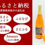 にんじんジュース「ザ・人参」　ふるさと納税で好評受付中